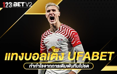 แทงบอลเต็ง