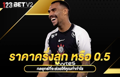 ราคาครึ่งลูก หรือ 0.5