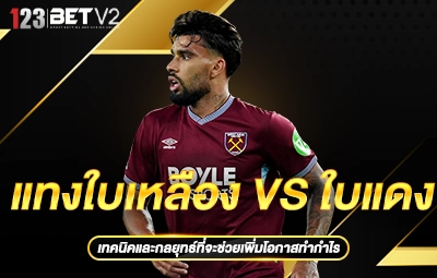 แทงใบเหลืองvsใบแดง