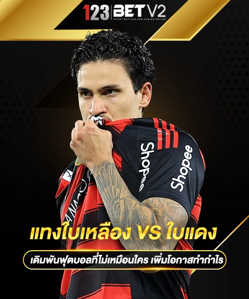 แทงใบเหลือง vs ใบแดง