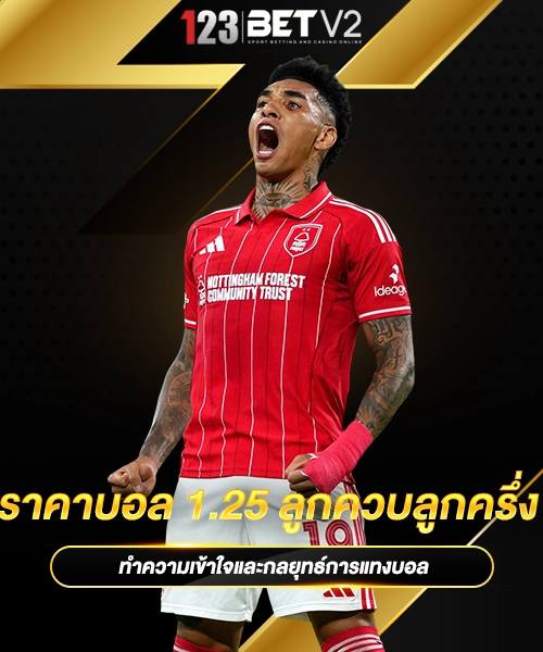 ราคาบอล 1.25 ลูกควบลูกครึ่ง 1