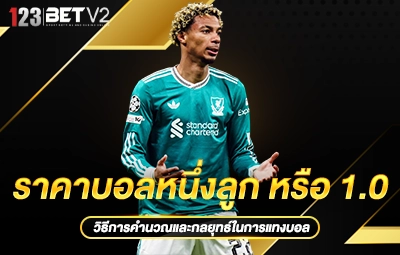 ราคาบอลหนึ่งลูก หรือ 1.0