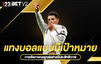 แทงบอลแบบมีเป้าหมาย